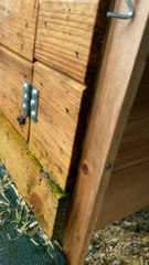 Cat Curls Up To Chicken Eggs