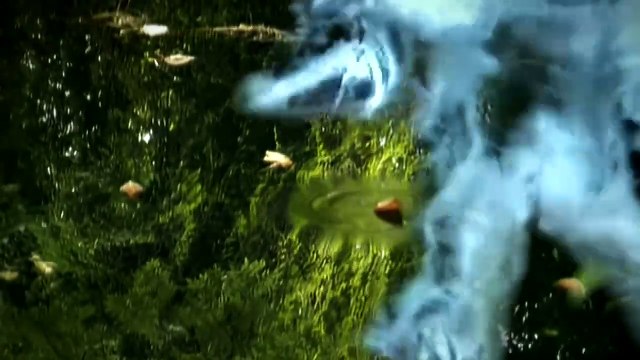 EPICA — The Phantom Agony · 2003 ● Epica Music Video Collector’s Edition DVD