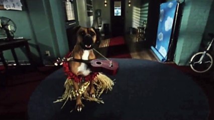 Les 101 dalmatiens (1996) - Bande annonce