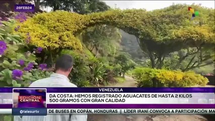 Venezuela en movimiento: Hortalizas y verduras se producen en invernaderos