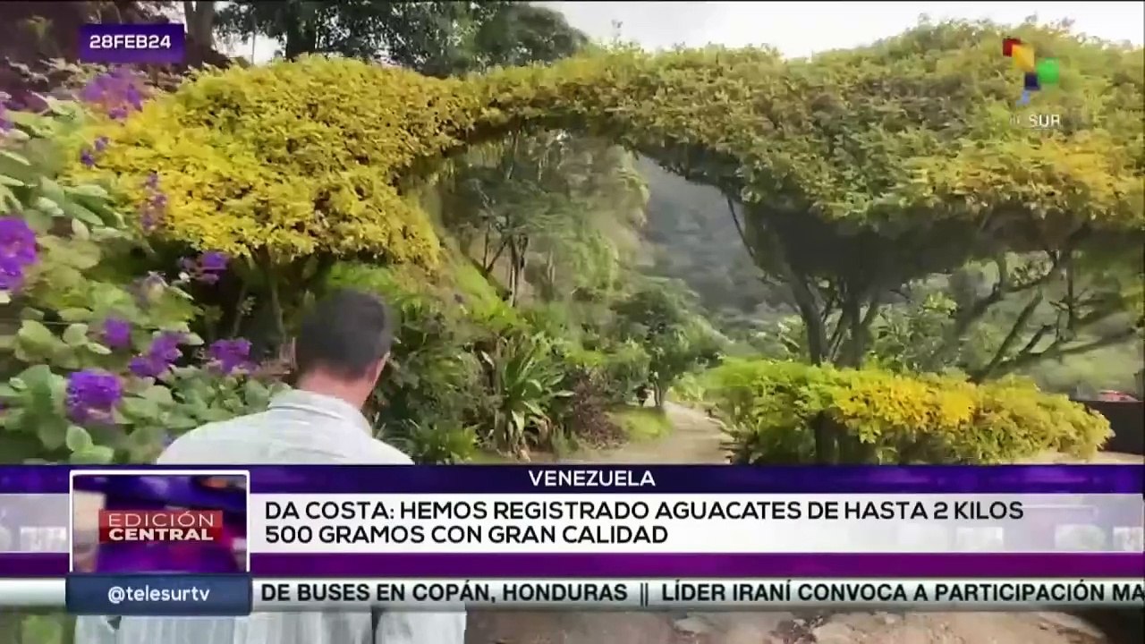 Venezuela en movimiento: Hortalizas y verduras se producen en invernaderos