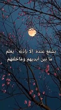 Surah Baqra verse 255 to 256 #surahbaqrah #ayatulkursi #kafiroallahsedaro #musalmanoquranpadho #ahmedisteyaque #Quraninramadan #quranverse #surahtaha #quran #ramjanmubarak #quranverses