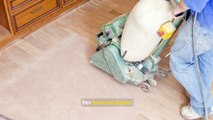 Dealing with Common Floor Sanding Problems and Solutions: Expert Tips