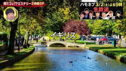 バラエティー動画 Miomio Miomio.guru - 世界の何だコレ！？ミステリー   動画　2024年2月28日