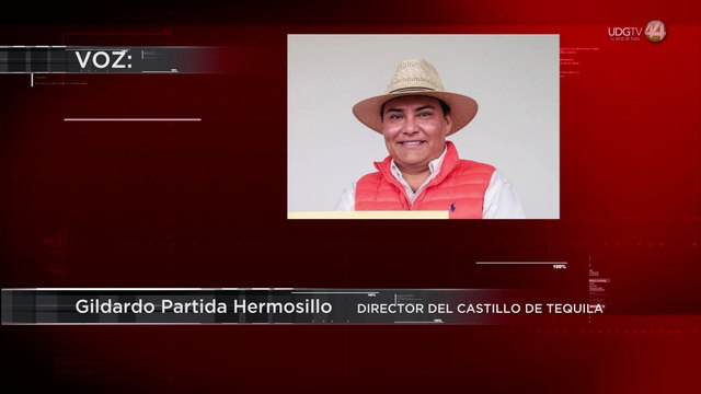 Retirarán invernaderos de berries que ponen en riesgo declaratoria de Paisaje Agavero en Jalisco