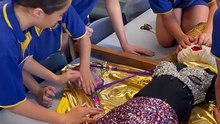 Wallsend Public School students create Taylor Swift scarecrow for Newcastle Show | February 29 | Newcastle Herald