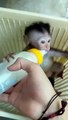 baby monkey drinking milk