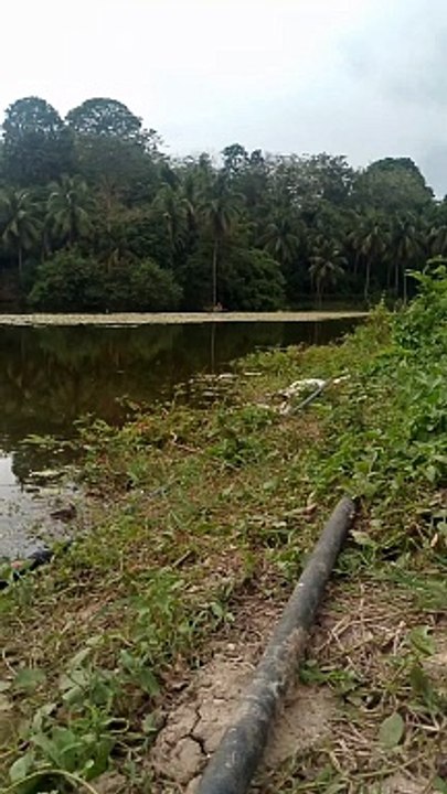 frestwater fishing