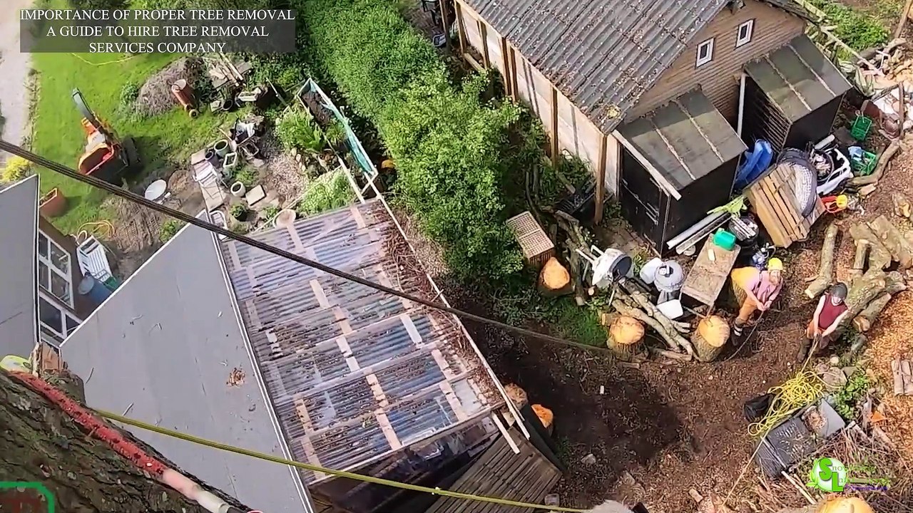 Guide To Hire Tree removal