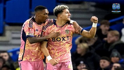 Leeds Fan Falls from the Top Tier at Stamford Bridge Celebrating the Opening Goal in FA Cup Tie