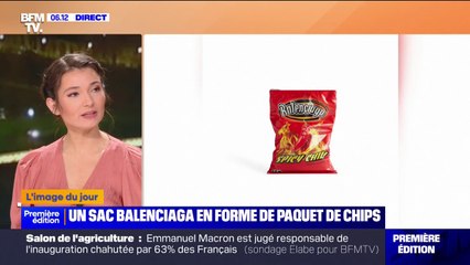 Tải video: Balenciaga dévoile une ligne de sacs à main en forme de paquets de chips à près de 1.500 euros