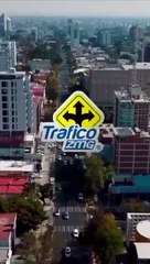 Aparatoso choque acaba con árbol de 10 años