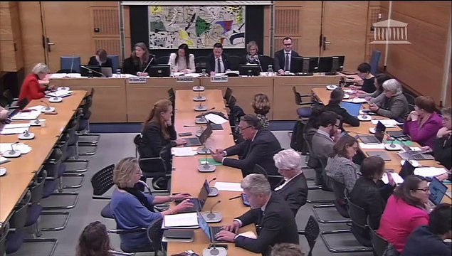 Commission des affaires culturelles : Professionnaliser l’enseignement de la danse en tenant compte de la diversité des pratiques - Mercredi 28 février 2024