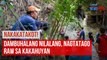 Dambuhalang nilalang, nagtatago raw sa kakahuyan | GMA Integrated Newsfeed