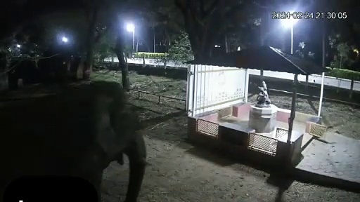 கோவையில் ஆஞ்சநேயர் சிலையை பார்த்ததும் யானை செய்த நெகிழ்ச்சி செயல்; வீடியோ வெளியாகி வைரல்