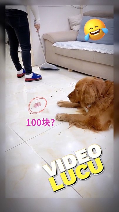 Funny Dog