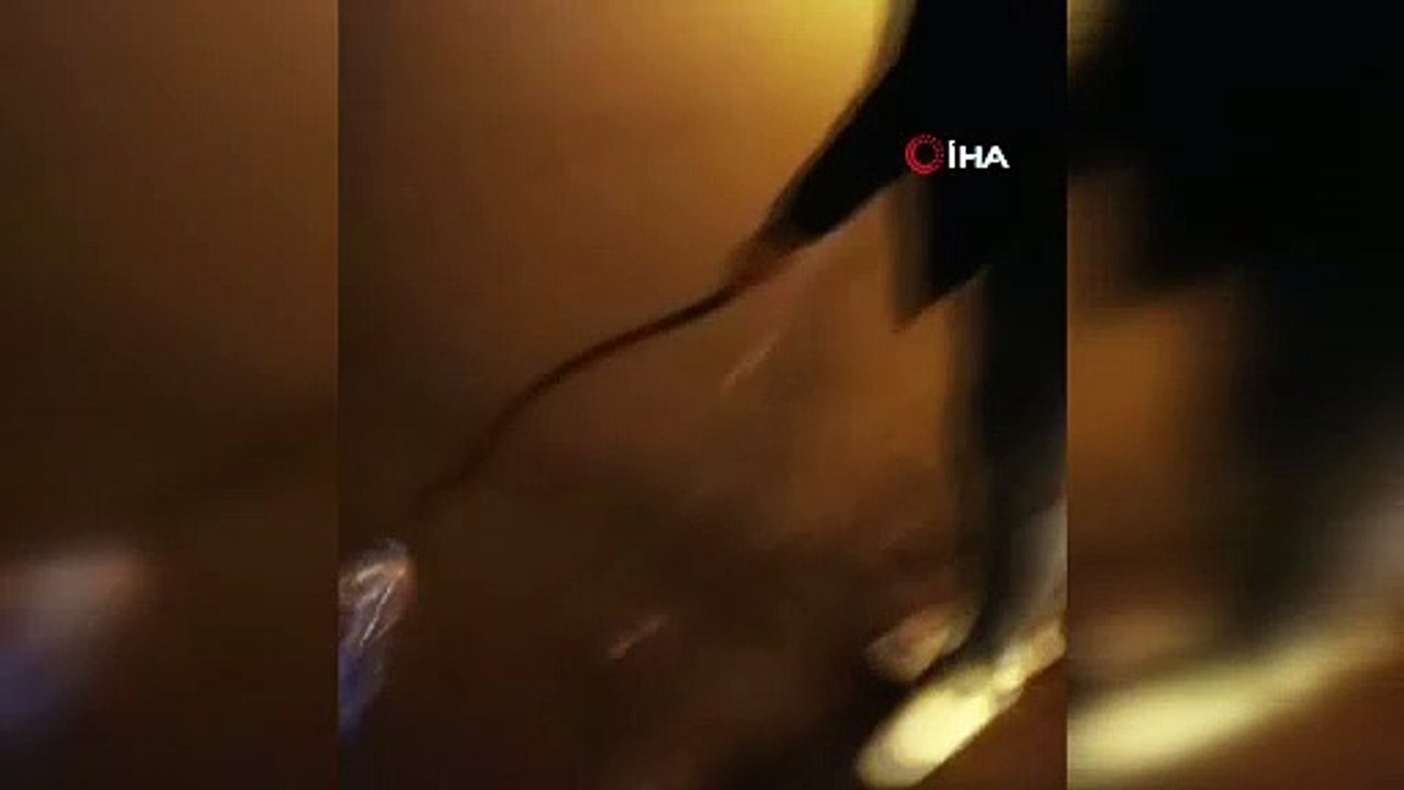 Marmara Denizi mavi renkle parlamaya başladı