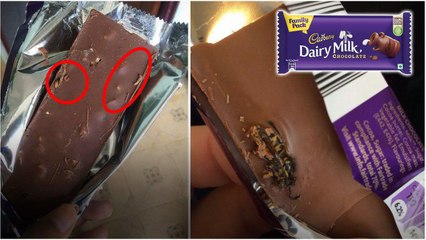 Cadbury Diary Milk Chocolateలో చాక్లెట్ రంగులోకి మారుతున్న పురుగులు | Telugu Oneindia