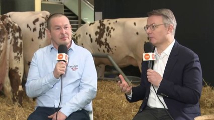 Les 4 Vérités - Frédéric Epineau & Dominique Schelcher