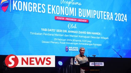 Latest Bumiputra economic agenda will not sideline other communities, says Zahid