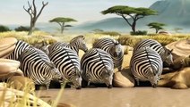 Divertidos Animales Gordos - Cortometraje Animado - Animales De Dibujos Animados Películas