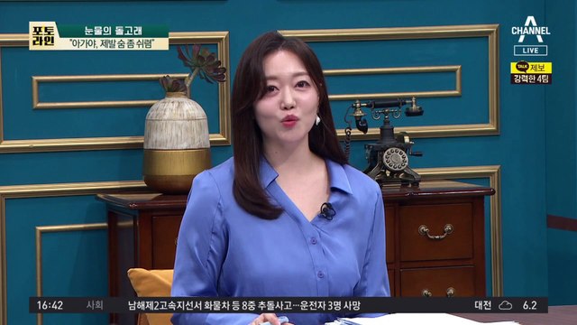 “아가야, 제발 숨 좀 쉬렴”…돌고래, 새끼 살리려 안간힘