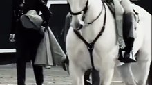 video fernando adrián
