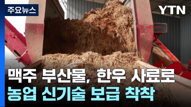 [녹색] 맥주 부산물을 한우 사료로 ...농업 신기술 보급 착착 / YTN