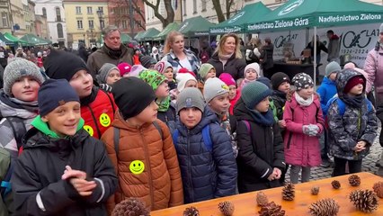 Gazeta Lubuska. Zielona Góra. Eko Choinka por raz siódmy.