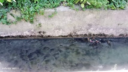 Kondisi Selokan di Samping Gedung Guru, Jalan Harva No 1