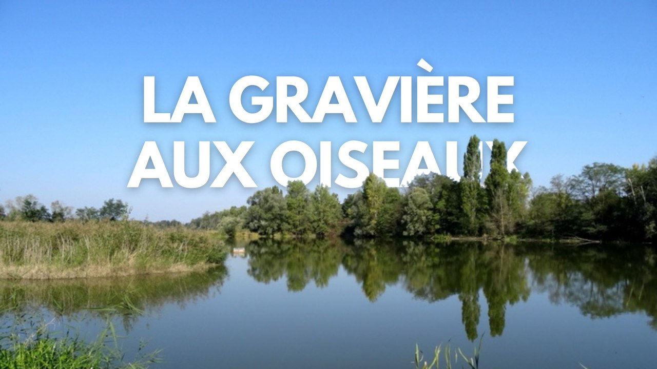 Vue aérienne sur la Gravière aux oiseaux du Roannais