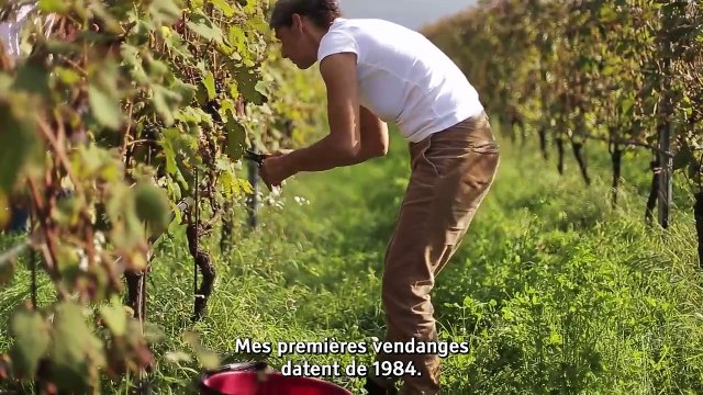 Vigneronnes (2022) - Bande annonce