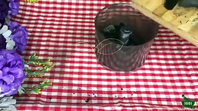 Charbon actif. 100% Naturel, Comment faire la poudre charbon actif, charbon vegetal activé poudre