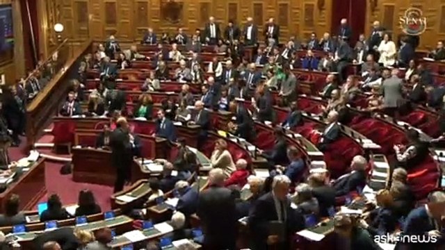 Francia, il Senato approva l'inserimento dell'aborto in Costituzione