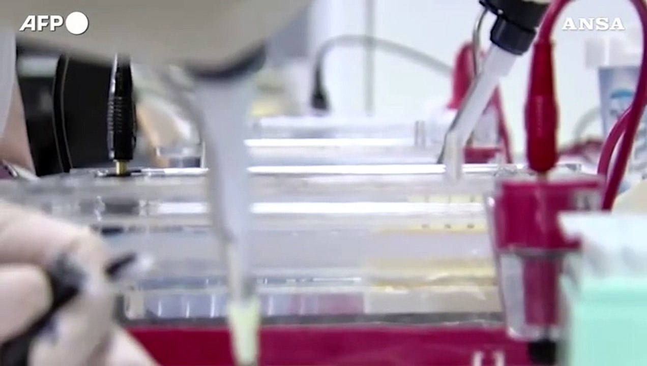 Malattie rare, con i nuovi Lea anche screening per la Sma