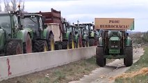 فيديو: المزارعون الكاتالونيون يغلقون الطريق الرئيسي بين إسبانيا وفرنسا