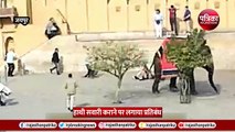 जयपुर में गुस्साई हथिनी ने रूसी पर्यटक को सूंड में लपेट जमीन पर पटका, पैर में फ्रेक्चर, घटना का वीडियो आया सामने