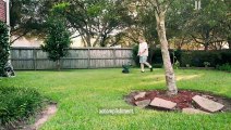 Lawn Maintenance and Landscaping: DIY vs. Professional Services Compared