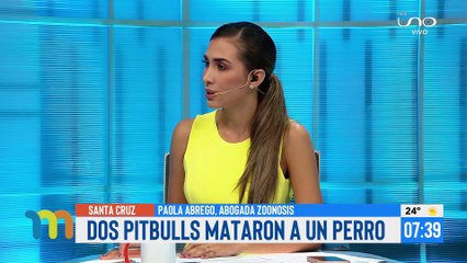 Caso pitbull: abogada de zoonosis