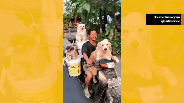 Hauska ja riskialtis video: