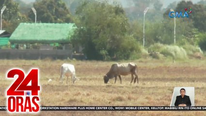 Bayan ng Bulalacao sa Or. Mindoro, isinailalim na sa State of Calamity dahil sa El Niño | 24 Oras