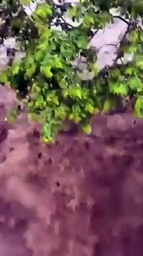 Enchente no Rio Piancó após Fortes Chuvas no Sertão Paraibano