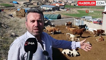 Boğa saldırısından oğlunu kurtaran baba, kendini kurtaramadı