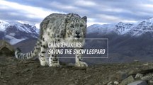 Changemakers: Saving the snow leopard