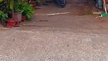 motovlog