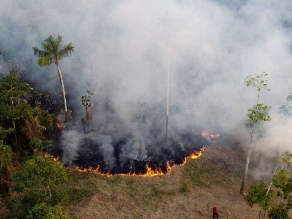 Amazonas in Flammen: Kohlenstoffausstoß erreicht Höchststand