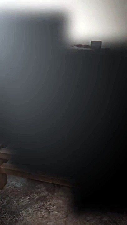 cow in Roblox