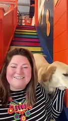 Scoff Paper owner Gemma Connolly from Chorley talks about appearing on BBC's Dragons' Den