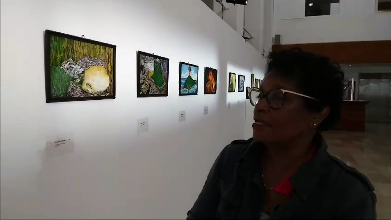 « La Danielle, façon nature morte », rencontre avec l'artiste