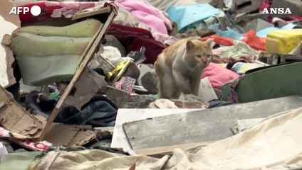 Télécharger la video: Gaza, attacco israeliano colpisce Rafah: la conta dei danni tra le macerie